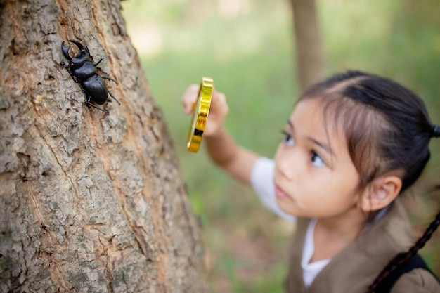 Una niña asiática usando una lupa para estudiar un escarabajo ciervo en un parque