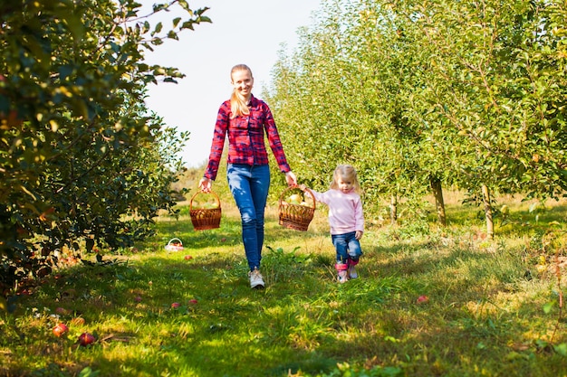 La niña ayuda a la madre a recoger las manzanas en el jardín orgánico. Familia feliz caminando por la granja