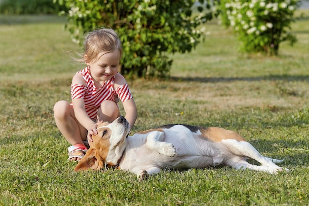 Niña blanca está jugando con una sesión de fotos de perro beagle en verano en la calle