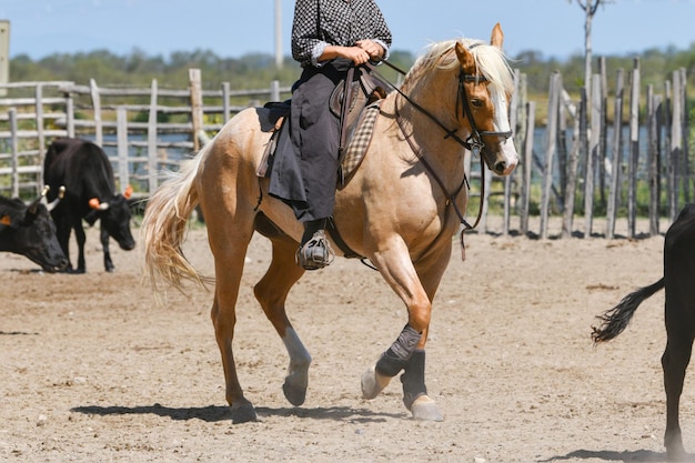 Foto niña cabalgando sobre un caballo marrón en una granja