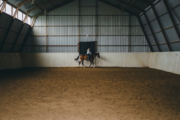 Una niña a caballo montando una arena