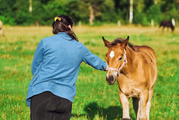 Niña con el caballo de pie en el prado en la terapia animal de verano