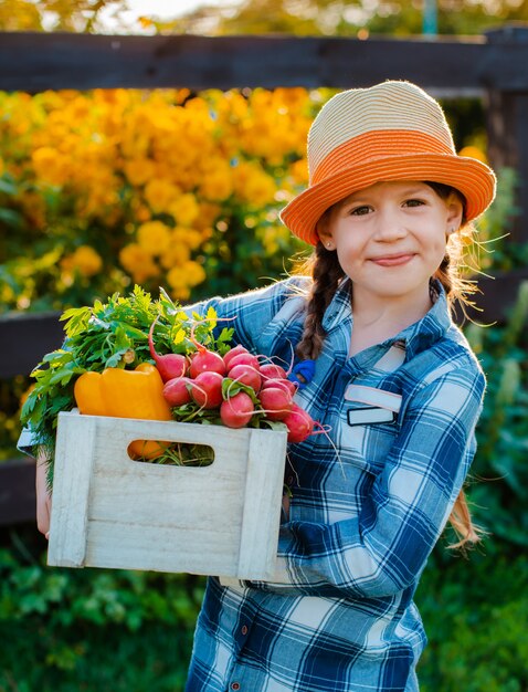 Niña con caja de verduras orgánicas frescas