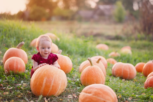 Niña con calabazas en campo