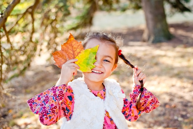 Una niña camina en el bosque de otoño con una hermosa hoja amarilla caída. Una niña alegre sonríe y sostiene una gran hoja brillante de un árbol.