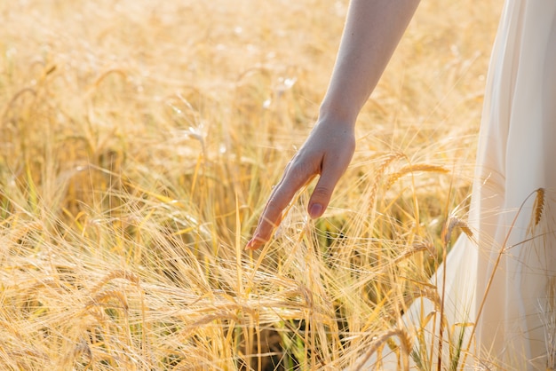 Una niña camina por un campo maduro de trigo tocando las espiguillas con las manos en primer plano. Industria agricola