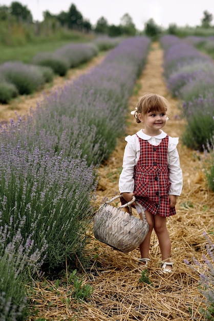 Foto niña camina recogiendo flores en un campo de lavanda.