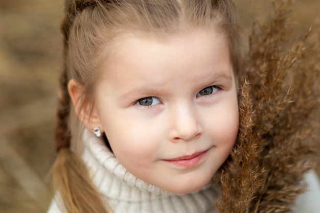 Niña en un campo con coletas