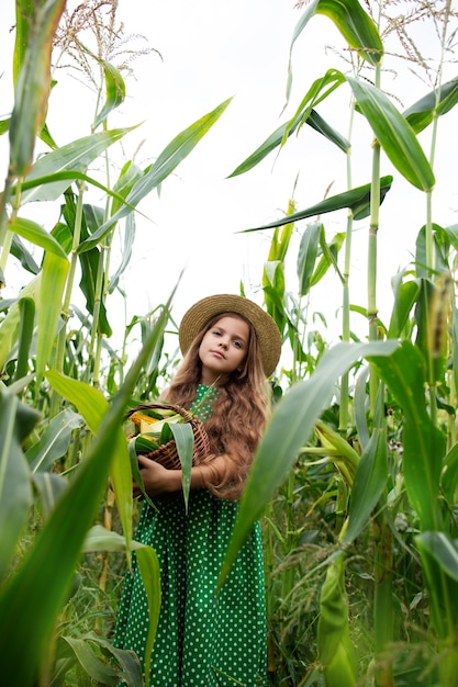 Foto una niña en un campo con maíz.