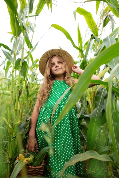 Foto niña con una canasta de maíz en un maizal