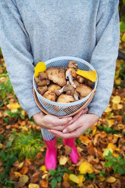 Foto niña con cesta de setas