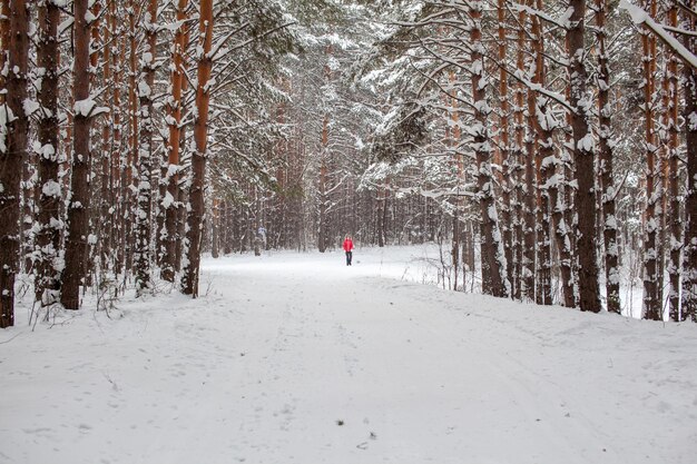 Una niña con una chaqueta roja camina por un bosque nevado