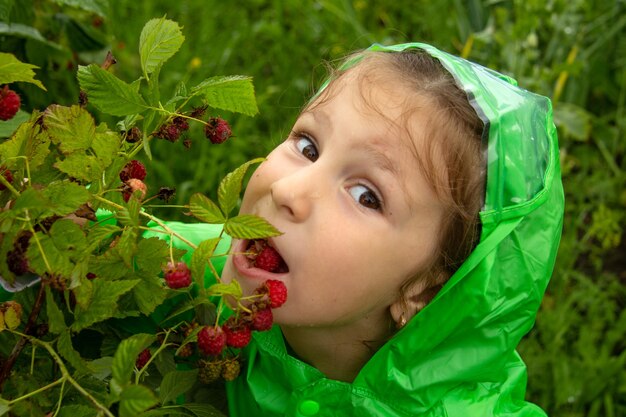 Una niña de cinco años con un impermeable verde come frambuesas justo en una rama después de la lluvia