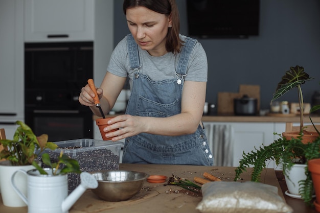 Foto una niña en la cocina está trasplantando plantas verdes caseras en macetas