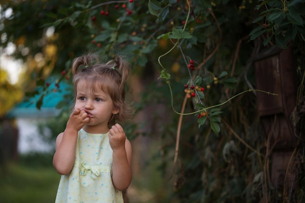 La niña come cerezas en el jardín. Verano