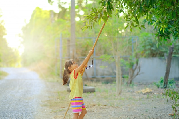 una niña cosechando fruta en una granja