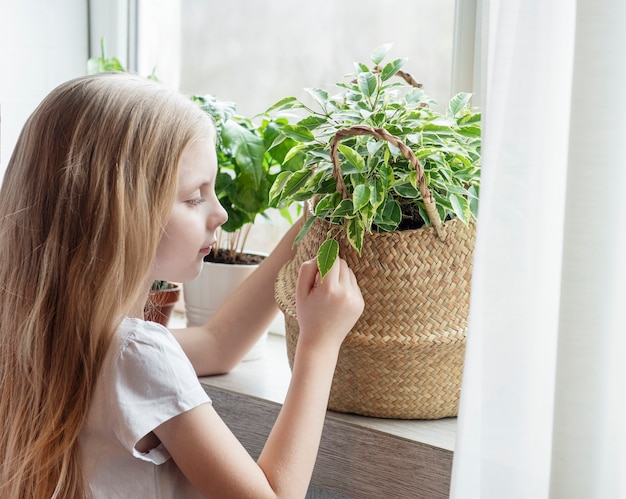 Niña cuidando plantas de interior en casa