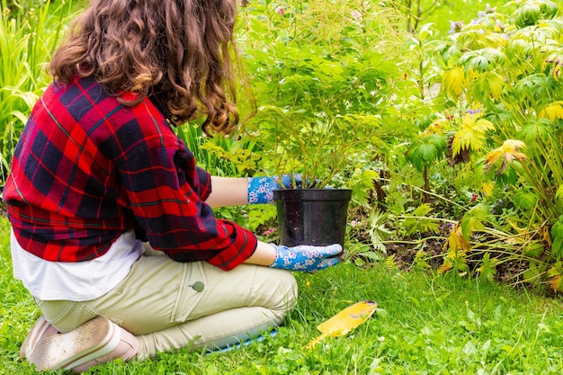 la niña se dedica a trasplantar plantas de flores en un lecho de flores