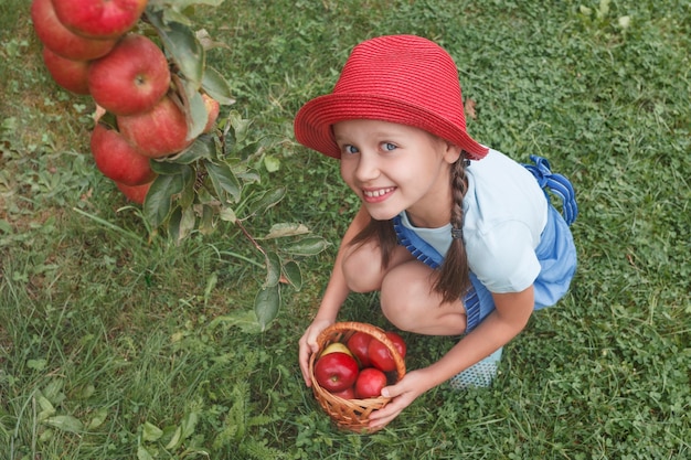 Una niña con un delantal azul se sentó en la hierba cerca de un manzano y una canasta de manzanas