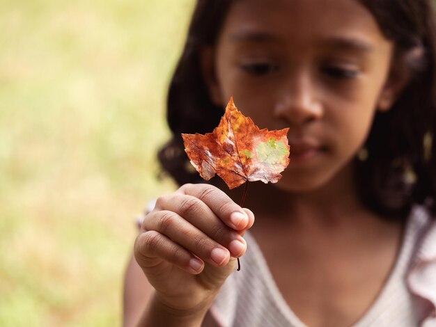 Niña diversa al aire libre en la naturaleza mirando una hoja descolorida