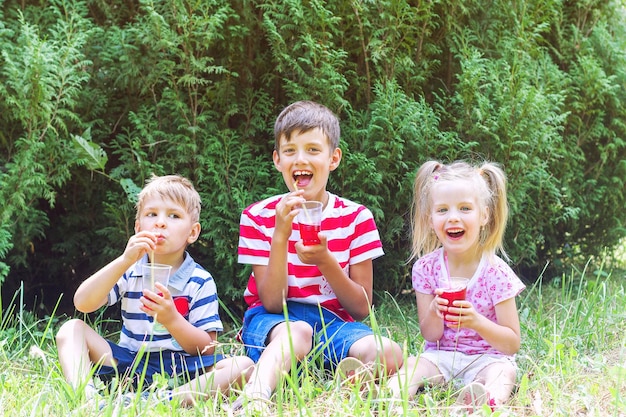 Niña dos y niño al aire libre en verano beben jugo en la hierba.