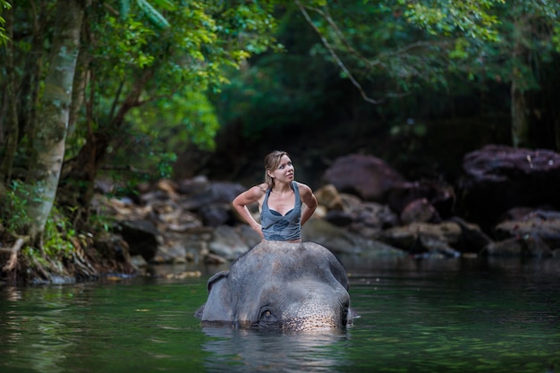 Foto la niña con el elefante en el agua.