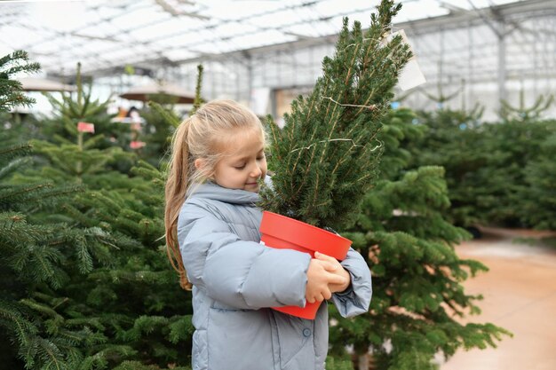 Una niña elige un árbol de Navidad en el mercado.