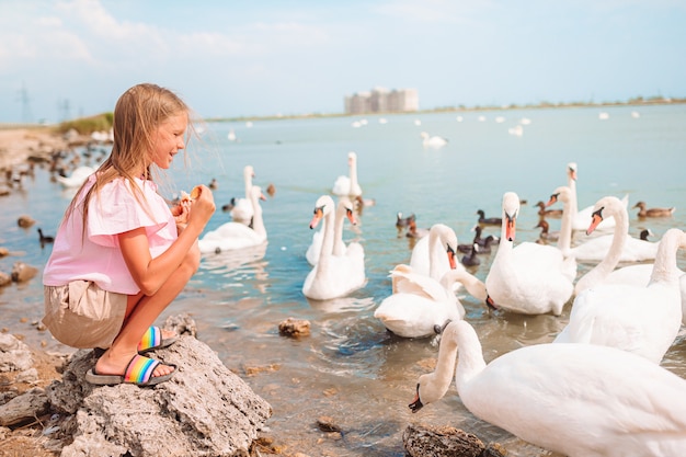 Niña encantadora alimentando cisnes en la playa