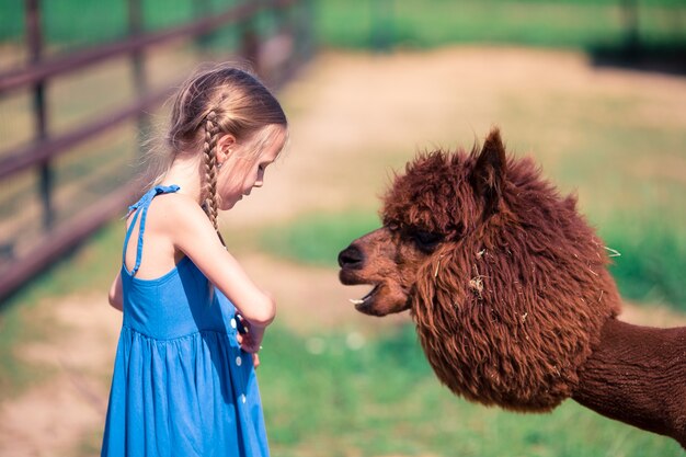 Niña encantadora está jugando con linda alpaca en el parque