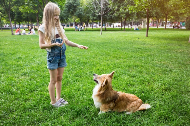 Niña entrenando a un perro corgi en el parque