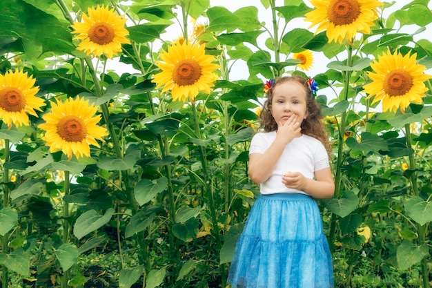 La niña está parada entre los girasoles.