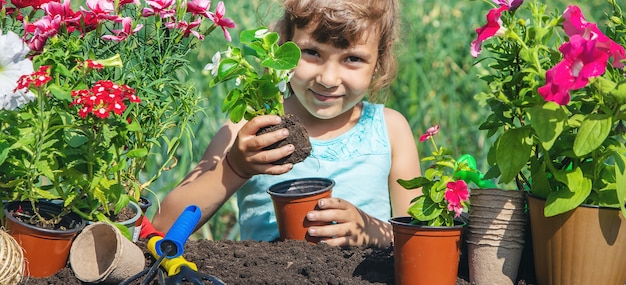 Una niña está plantando flores.