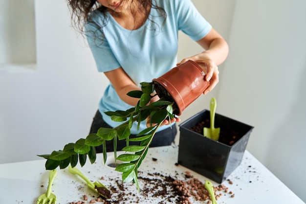 La niña está sacando una flor de la maceta para trasplantarla a una maceta más grande.