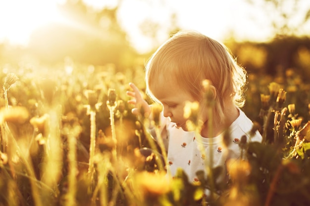 Niña feliz en un campo con un diente de león en la mano