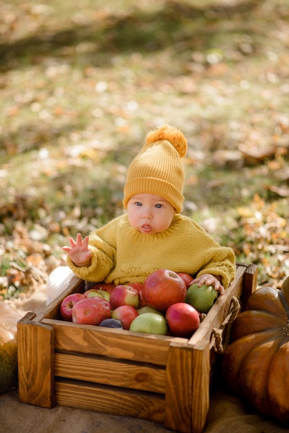 Niña feliz con una cesta con manzanas al aire libre en el parque otoño