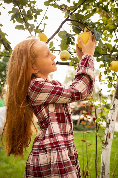 Foto niña feliz recogiendo manzana, comida de temporada en un jardín al aire libre