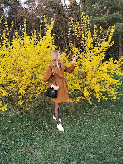 Una niña frente a un gran arbusto de flores amarillas de la planta Forsythia también conocida como árbol de Pascua