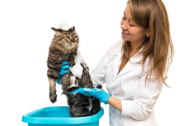 Una niña con guantes azules lava a un gato en una palangana