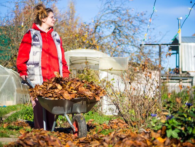 Una niña hace limpieza de otoño en el jardín una niña con una carretilla llena de hojas