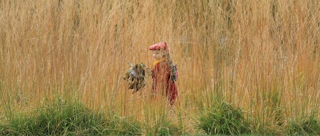 niña en la hierba alta de otoño