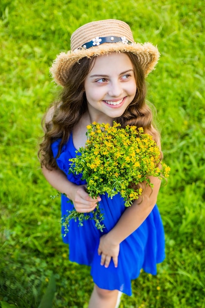 Niña con Hypericum perforatum recién elegido recogiendo hierbas