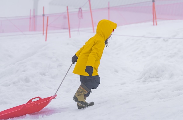 Niña japonesa se desliza por el trineo de nieve en la estación de esquí Gala Yuzawa