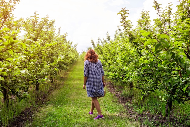 Una niña jardinero camina a través de un huerto de manzanas verdes con un vestido azul y un sombrero.