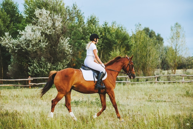 Niña, jinete, equitación, un, caballo