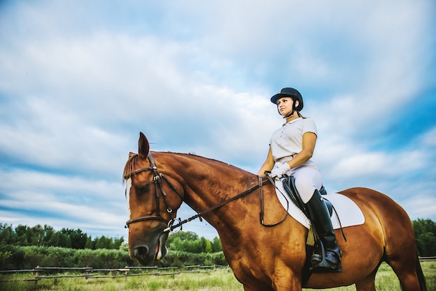 Niña, jinete, equitación, un, caballo