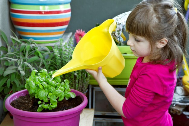 Niña joven, regar, albahaca, planta, sonriente