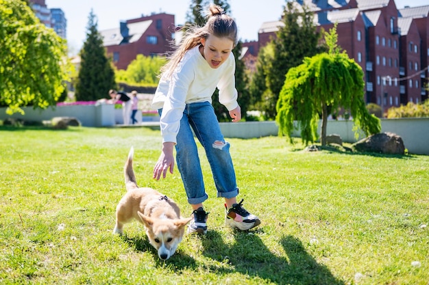 Una niña juega con su cachorro corgi en un césped verde