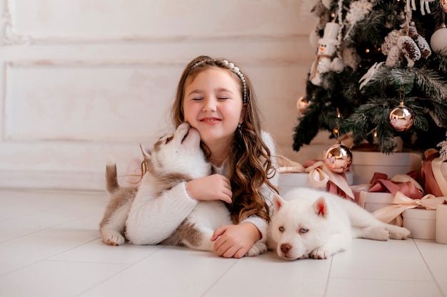 Niña jugando con cachorros husky cerca de árbol de Navidad