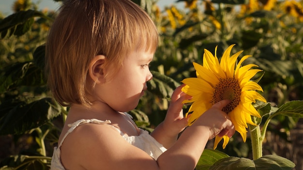 Niña jugando en el campo de girasol.