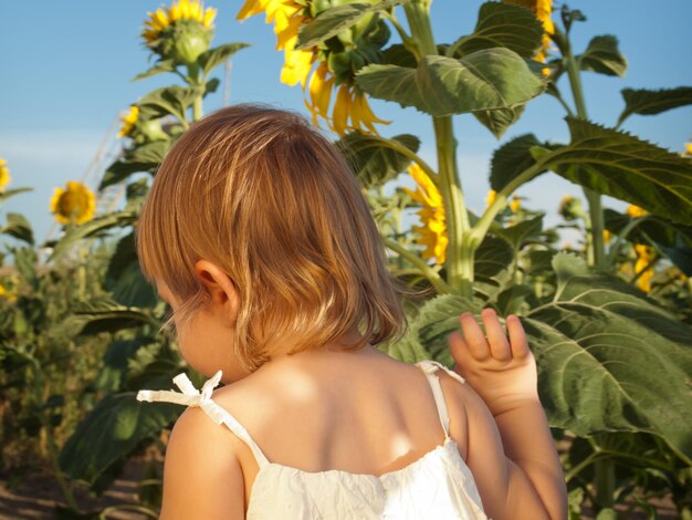 Niña jugando en el campo de girasol.